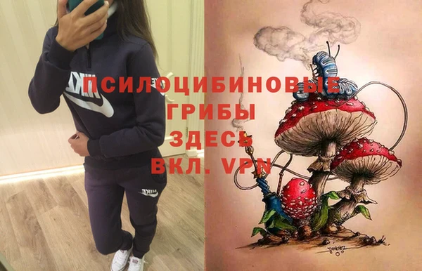 spice Алзамай