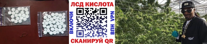 купить   Дубовка  LSD-25 экстази ecstasy 
