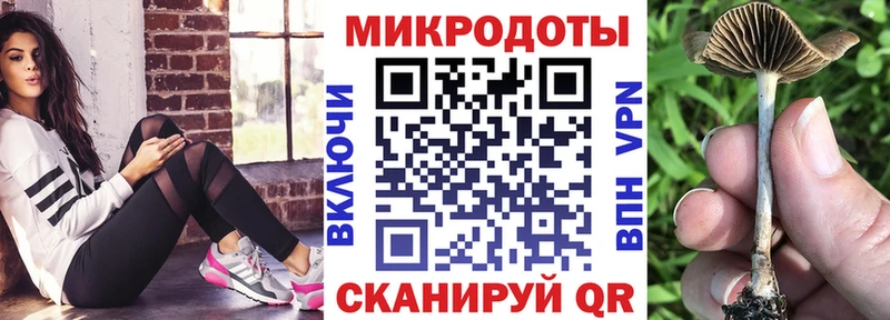 маркетплейс телеграм  Дубовка  Псилоцибиновые грибы MAGIC MUSHROOMS  наркота 