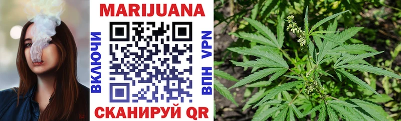 Шишки марихуана White Widow  где найти наркотики  Дубовка 